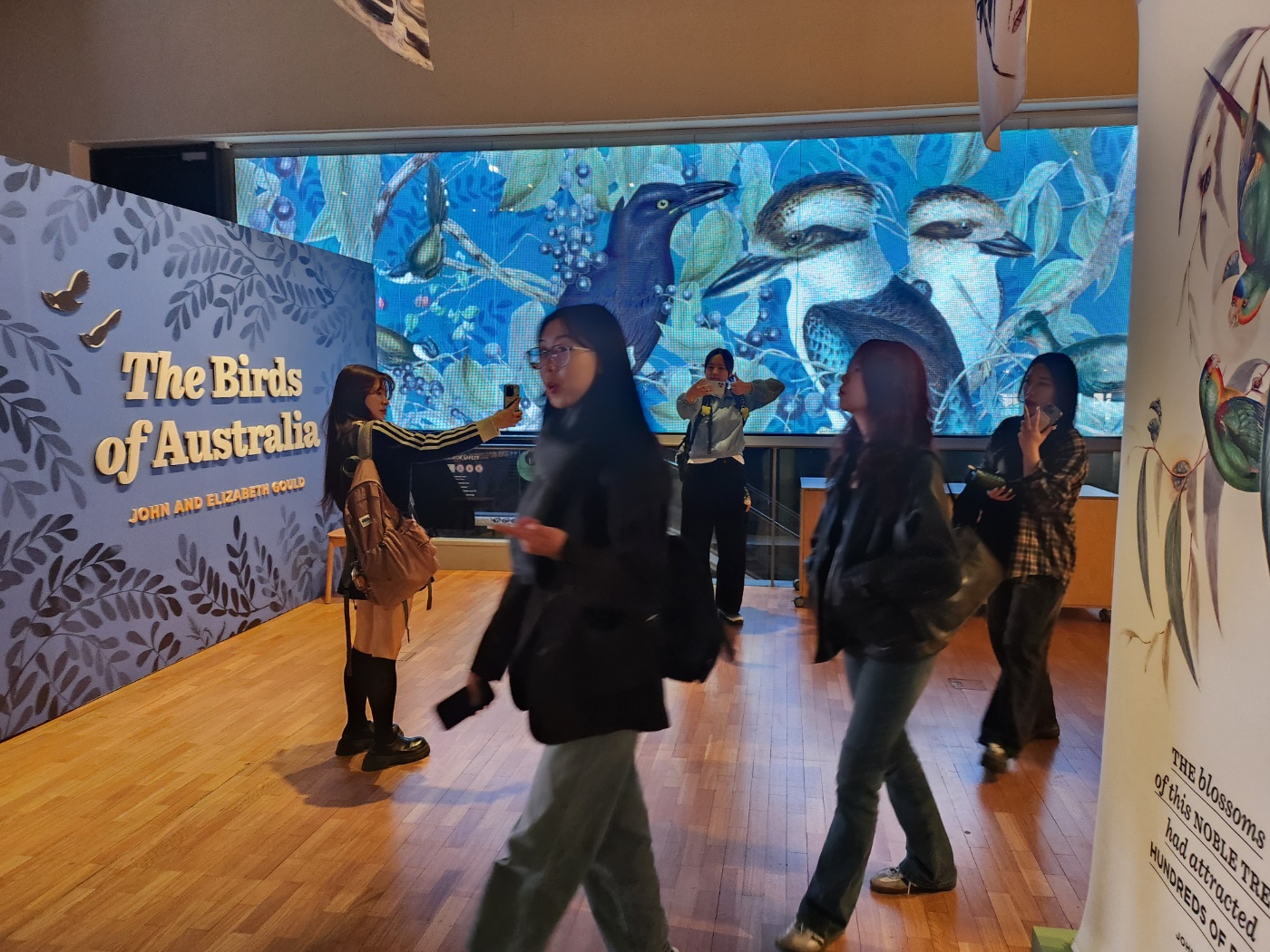 2025.7.24(목) 안산대(파란) 직무교육(Australian Museum) (3).jpg