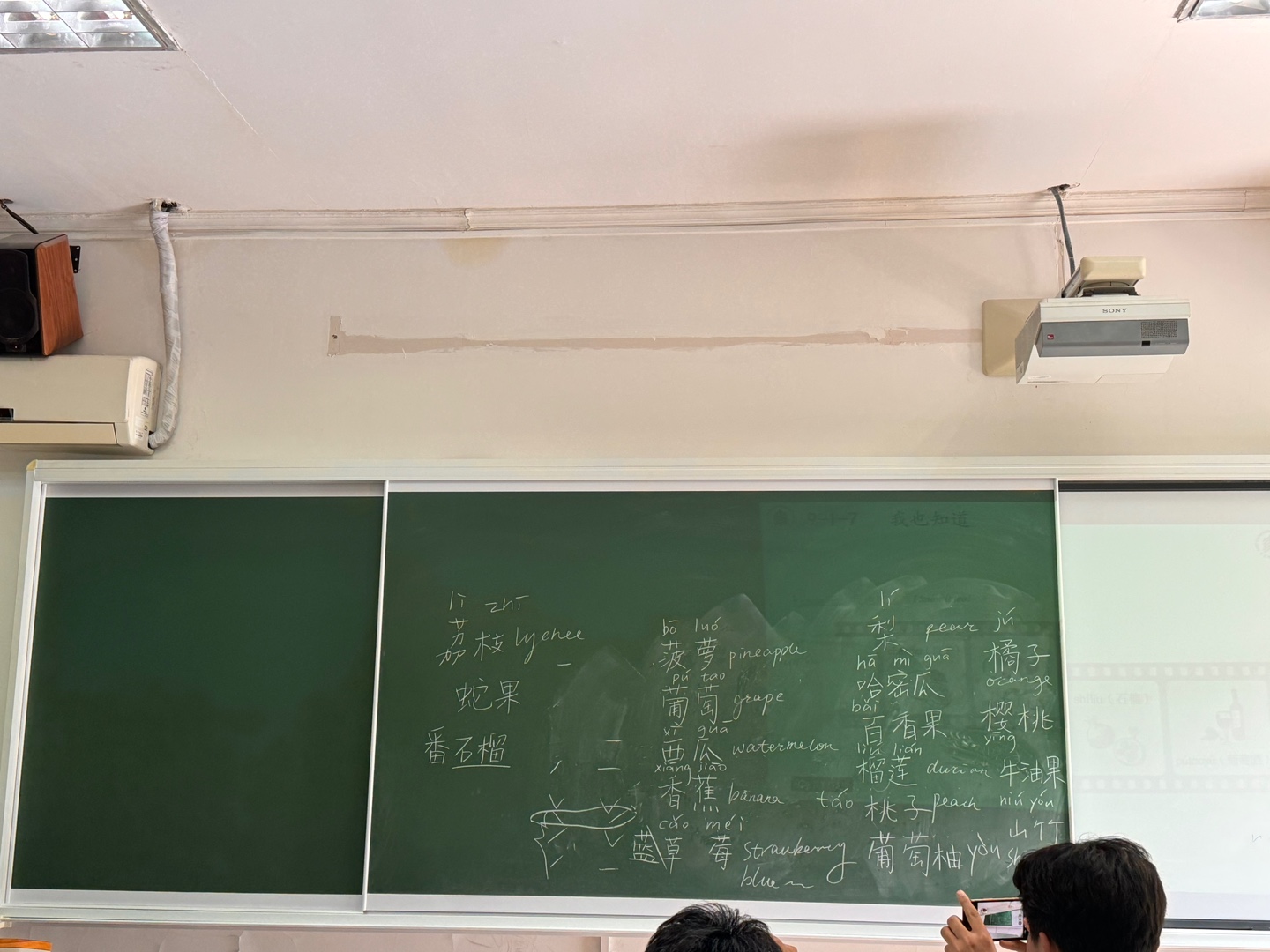 KakaoTalk_20250313_194918615.jpg